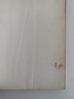 陰獣 / 二銭銅貨 / 心理試験 / 疑惑 他　江戸川乱歩文庫22