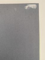 分類からの進化論へ　自然叢書