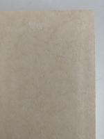 地路歴程　手島郁郎日記