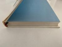 日本とイエスの顔