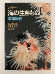 カラー　海の生きもの　海洋動物　山渓カラーガイド