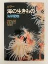 カラー　海の生きもの　海洋動物　山渓カラーガイド