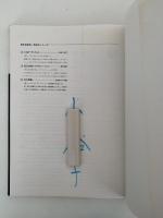 リトグラフ　描画・製版・刷り・併用版・転写と写真製版　新技法シリーズ