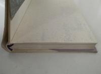 アラスカの雪原にて　動物一家オオカミに逢う