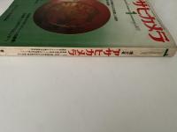 アサヒカメラ　増大号　カラー特集：私の年賀状・15人の写真家による競作 / 佃島・高梨豊