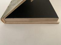 ドナテルロ　美術家評伝双書