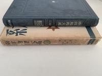 南洋地理大系６　東印度Ⅱ  旧蘭印　旧英領ボルネオ　葡領チモール　