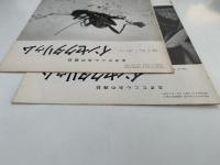 インセクタリゥム　生きたこん虫の雑誌　No.13 / No.14 　(1965年1月号 / 1965月2月号）