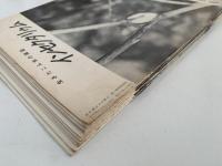 インセクタリゥム　生きたこん虫の雑誌　No.37〜No.48 　(1967年1月号〜1967月12月号）※ No.44 (1967年8月号)欠