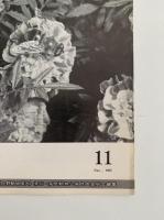 インセクタリゥム　生きたこん虫の雑誌　No.37〜No.48 　(1967年1月号〜1967月12月号）※ No.44 (1967年8月号)欠