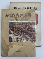 原色日本海藻図鑑