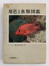原色日本魚類図鑑