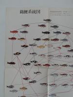 原色日本魚類図鑑