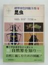 昆虫　標準原色図鑑全集２
