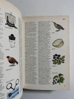illustrated Colour Dictionary