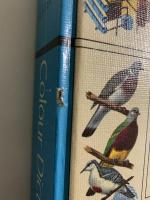 illustrated Colour Dictionary