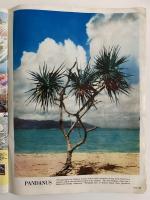 AUSTRALIAN WOMEN'S WEEKLY　THE LIVING BUSH
