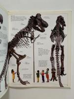 THE NATURAL HISTORY MUSEUM　Tyrannosaurus
