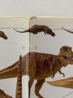 THE NATURAL HISTORY MUSEUM　Tyrannosaurus