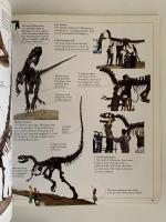 On the  trail of Incredible Dinosaurs