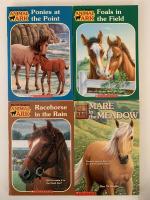 Horse & Pony  Boxed Set