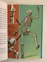 YOUR BODY
