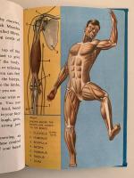 YOUR BODY