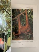 The Natural History of ORANG-UTAN