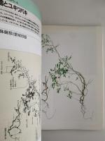 Newton special issue 植物の世界　第一号
　