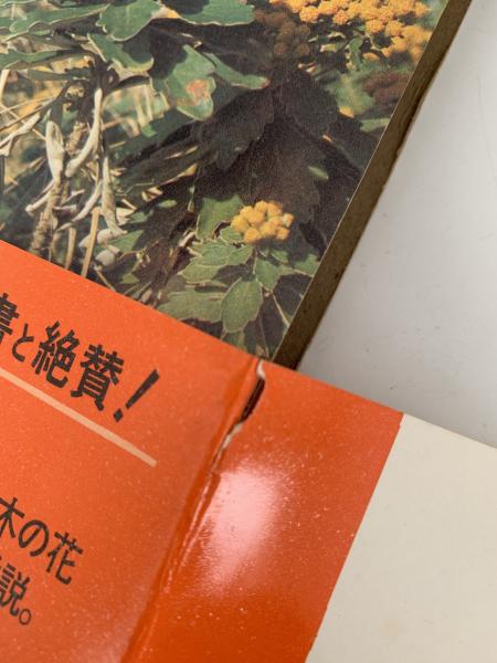 中古】 牧野富太郎植物記 6/あかね書房/牧野富太郎