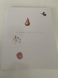 VISUAL DECEPTION　だまし絵