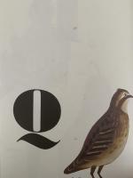 Bruno Munari's ABC