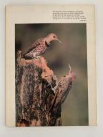 AUDUBON MARCH 1970