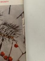AUDUBON NOVEMBER-DECEMBER 1961