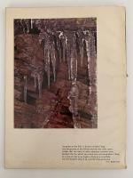 AUDUBON JANUARY 1969