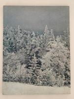 AUDUBON JANUARY 1976