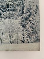 AUDUBON JANUARY 1976