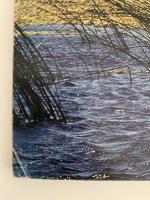 AUDUBON MARCH 1978