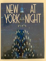 NEW YORK AT NIGHT