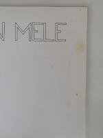 ANDELE S'EN MELE