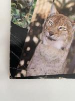 上野動物園カラーグラフ