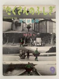 ぼくは盆栽　たくさんのふしぎ　1995年9月