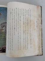たのしい川べ　ヒキガエルの冒険