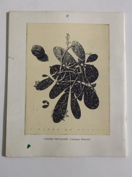 渡辺千尋 銅版画 カタログ・レゾネ(渡辺千尋) / 古本、中古本、古書籍