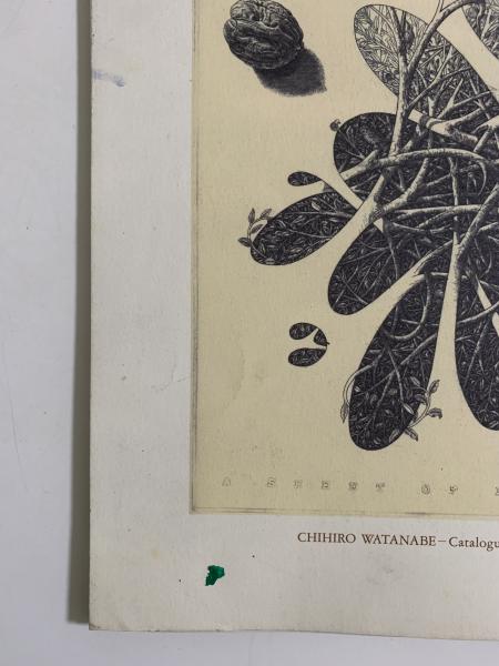 渡辺千尋 銅版画 カタログ・レゾネ(渡辺千尋) / 古本、中古本、古書籍