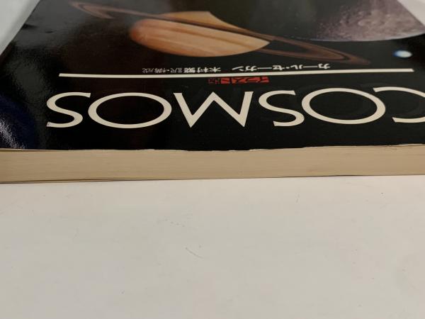 洋書 The definitive workon Schiele's cosmos The definitive workon Schiele's cosmos