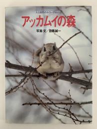 アッカムイの森