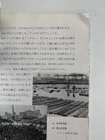 私たちの森林　改訂版