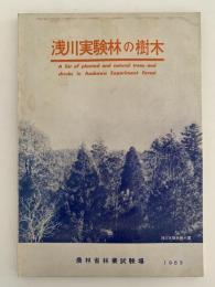 浅川実験林の樹木