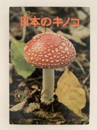 日本のキノコ　山渓カラーガイド64